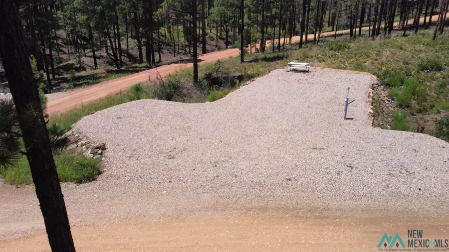 1 Blue Jay Road, Rociada, NM 87742 - #2