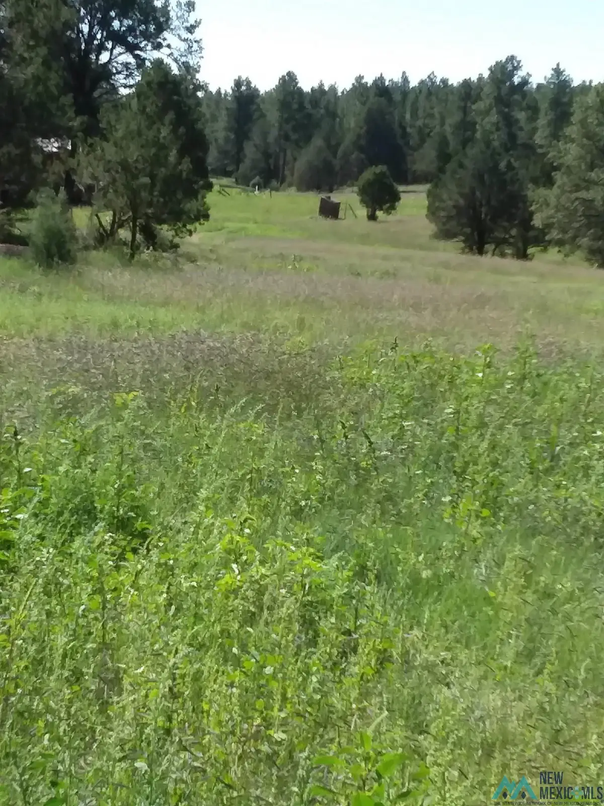 344 Forest Road, Pecos, NM 87552 - #1