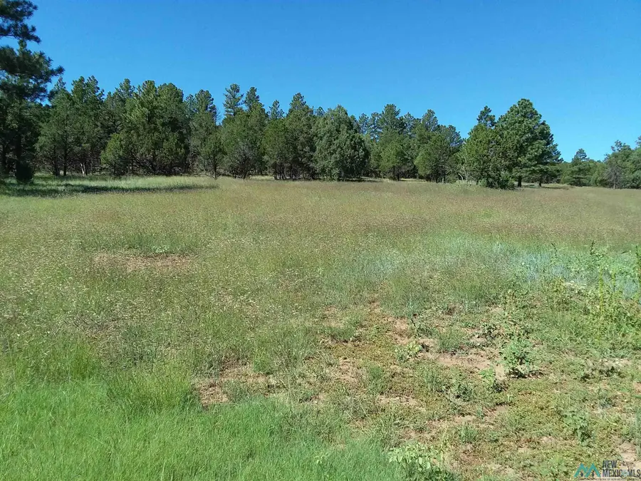344 Forest Road, Pecos, NM 87552 - #3