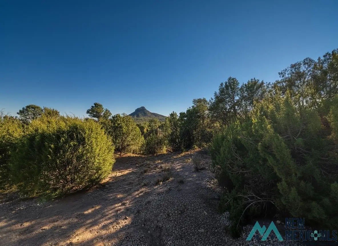 1.48 Acres Off Of Crb26a, Serafina, NM 87569 - #1
