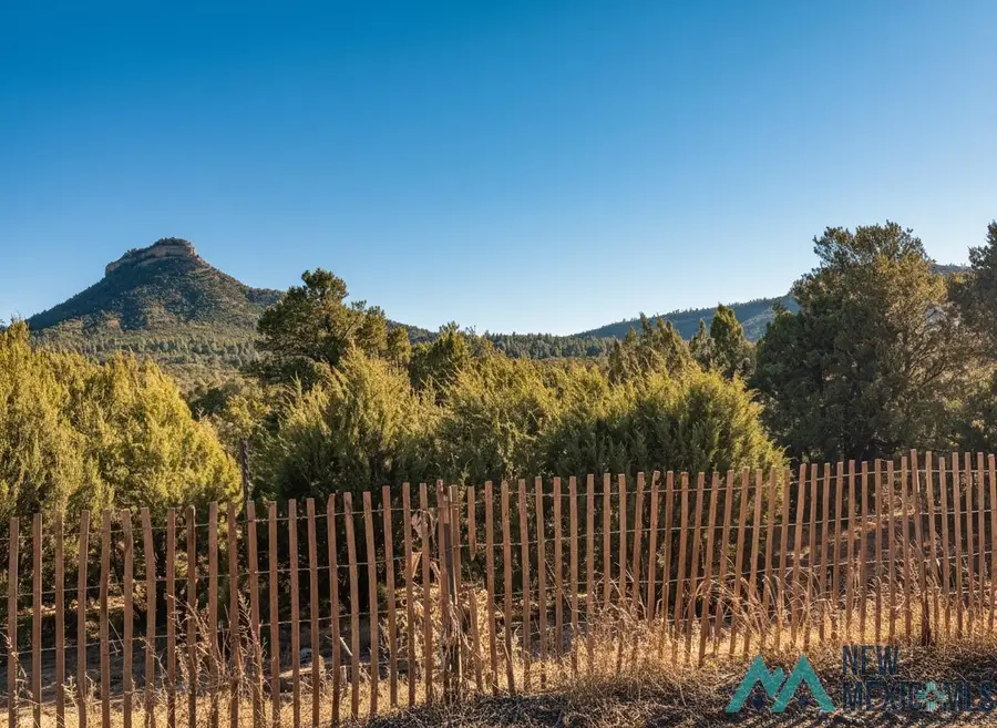 1.48 Acres Off Of Crb26a, Serafina, NM 87569 - #2