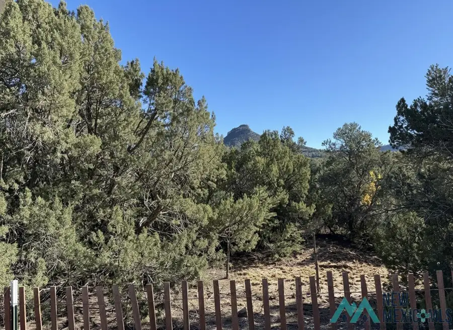 1.48 Acres Off Of Crb26a, Serafina, NM 87569 - #3