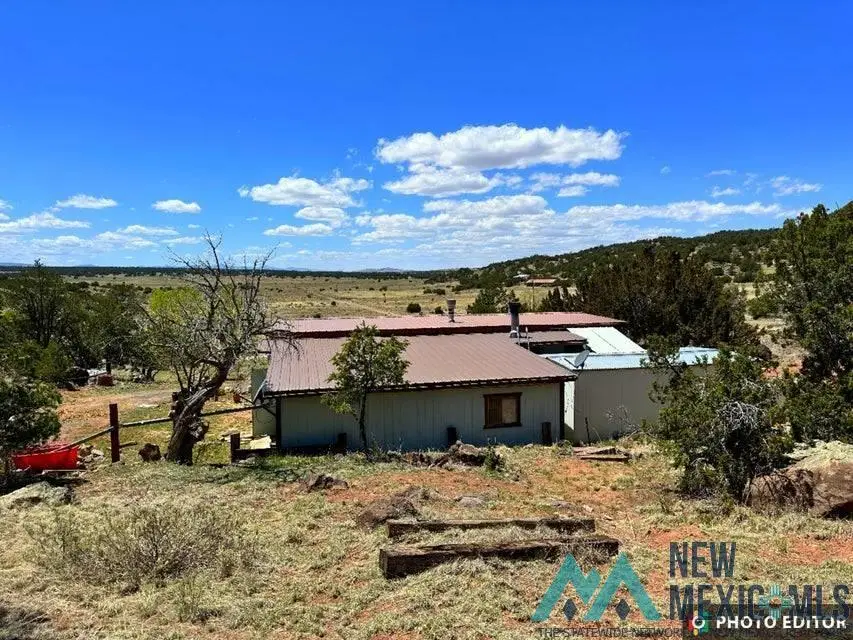 14 Loren Drive, Quemado, NM 87829 - #2