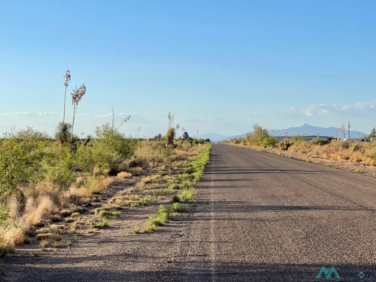 Yucca Land Estates, Deming, NM 88030 - #1