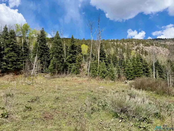 0 Aspen Bluff, Chama, NM 87520