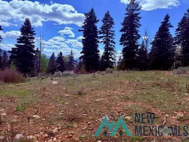 0 Aspen Bluff, Chama, NM 87520 - #2