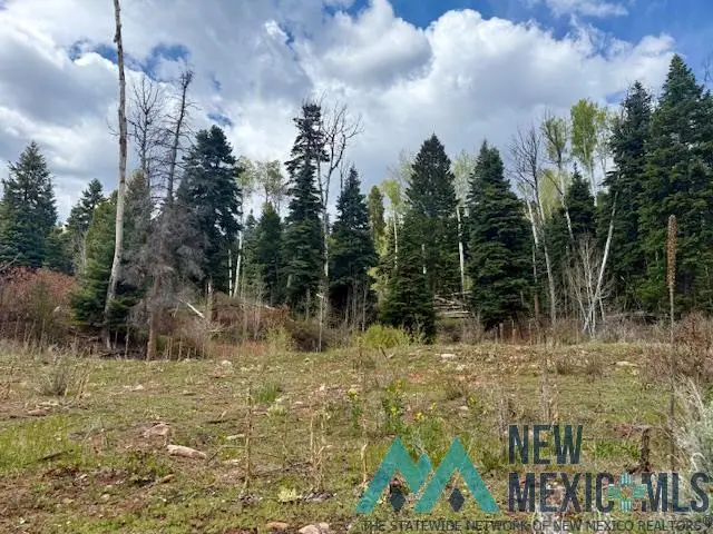 0 Aspen Bluff, Chama, NM 87520 - #3