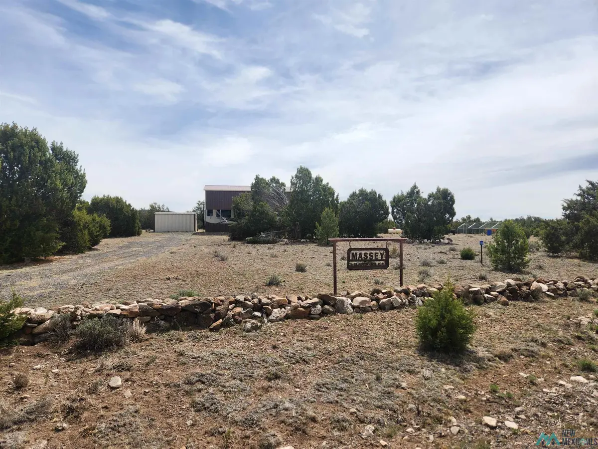 26 Branding Iron Road, Quemado, NM 87829 - #1