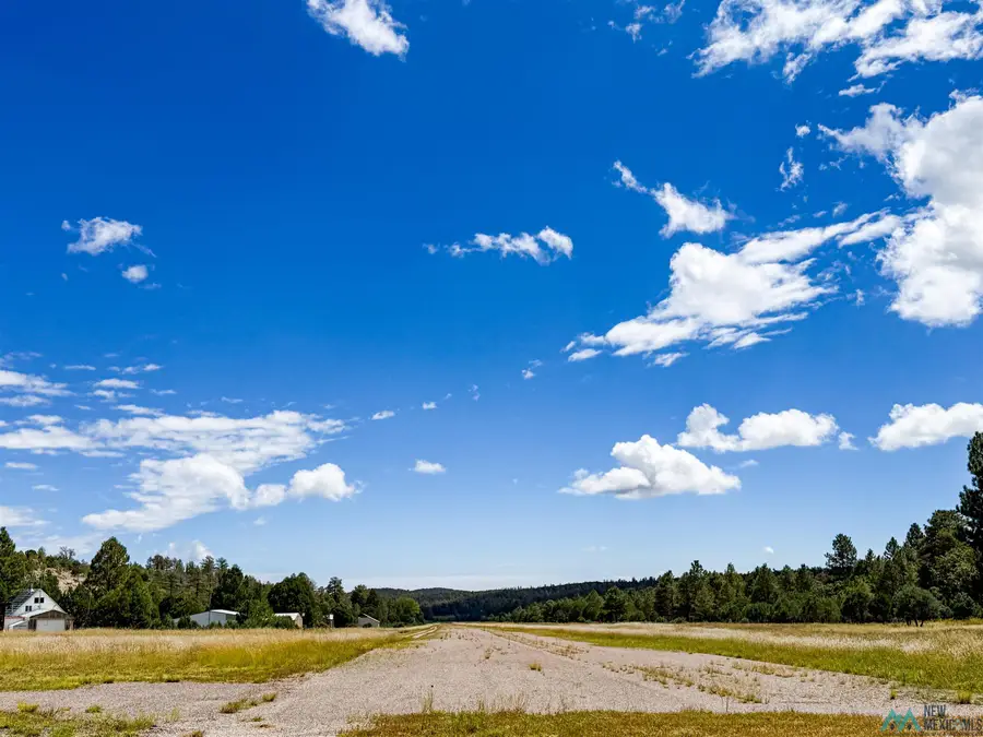 Lot 3 Paradise Valley Road, Timberon, NM 88350 - #3