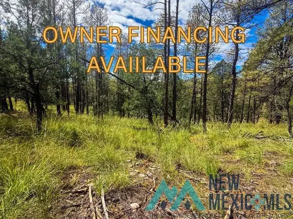 Lot 20 Marlin Drive, Timberon, NM 88350
