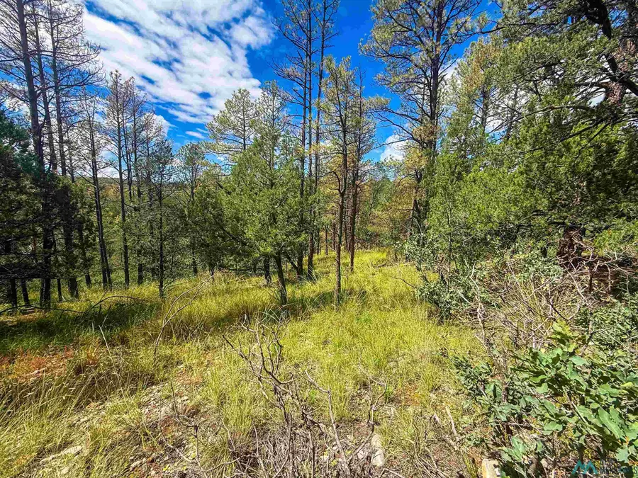 Lot 20 Marlin Drive, Timberon, NM 88350 - #2