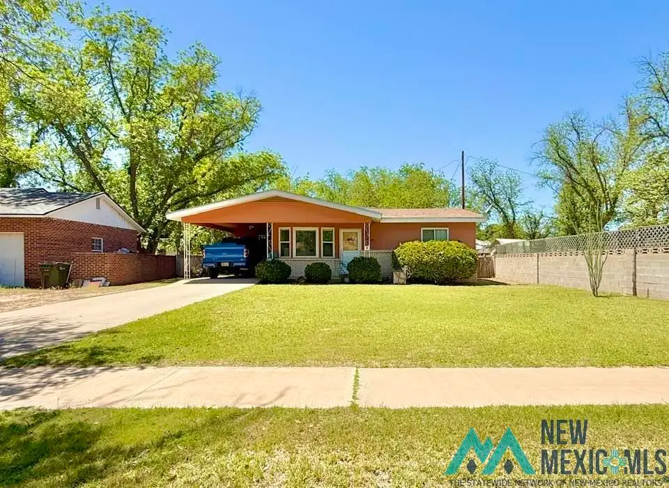1113 N Eddy Street, Carlsbad, NM 88220 - #1