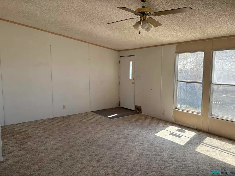707 Tingley St, Truth Or Consequences, NM 87901 - #3