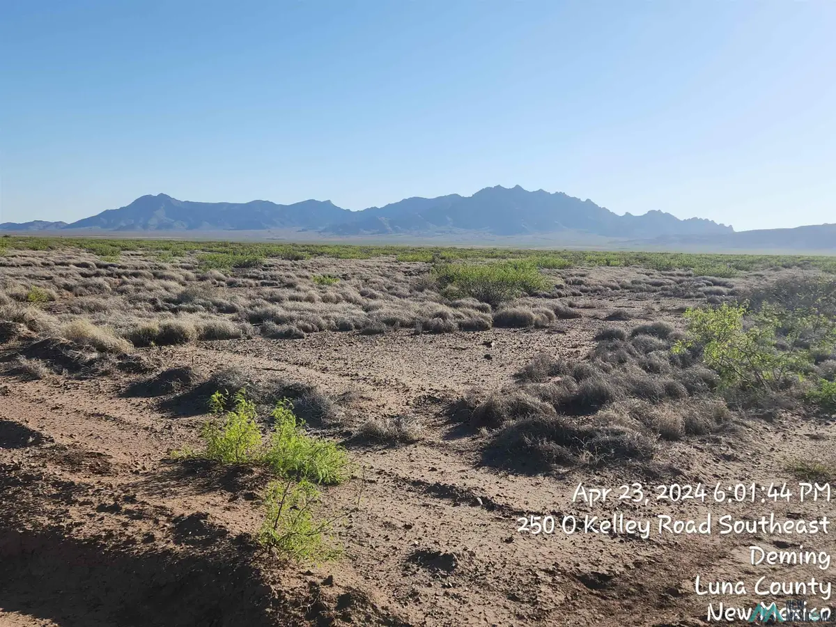 00 Robin Rd Se Road, Deming South, NM 5 - #1
