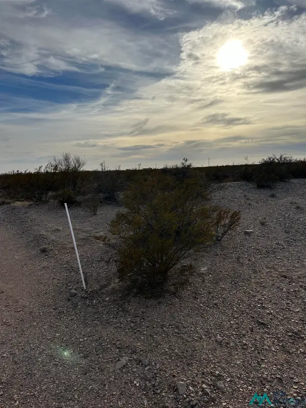 XXXX Roadrunner Lane Lot 8, Columbus, NM 88029