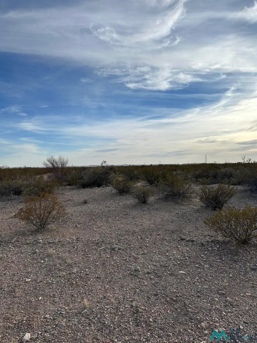 XXXX Roadrunner Lane Lot 8, Columbus, NM 88029 - #2
