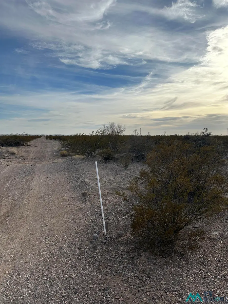 XXXX Roadrunner Lane Lot 8, Columbus, NM 88029 - #3