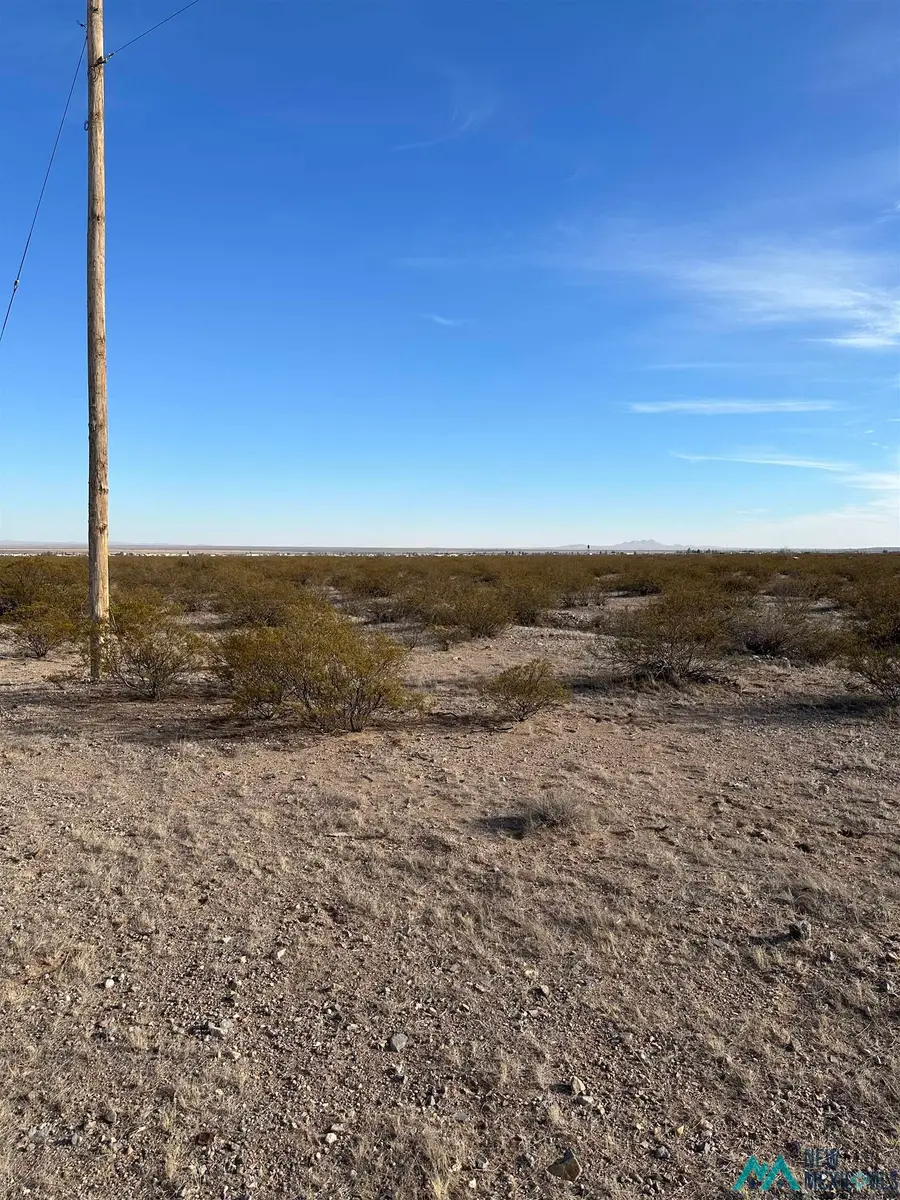 XXXX Kopopelli Lane Lot 16, Columbus, NM 88029 - #3