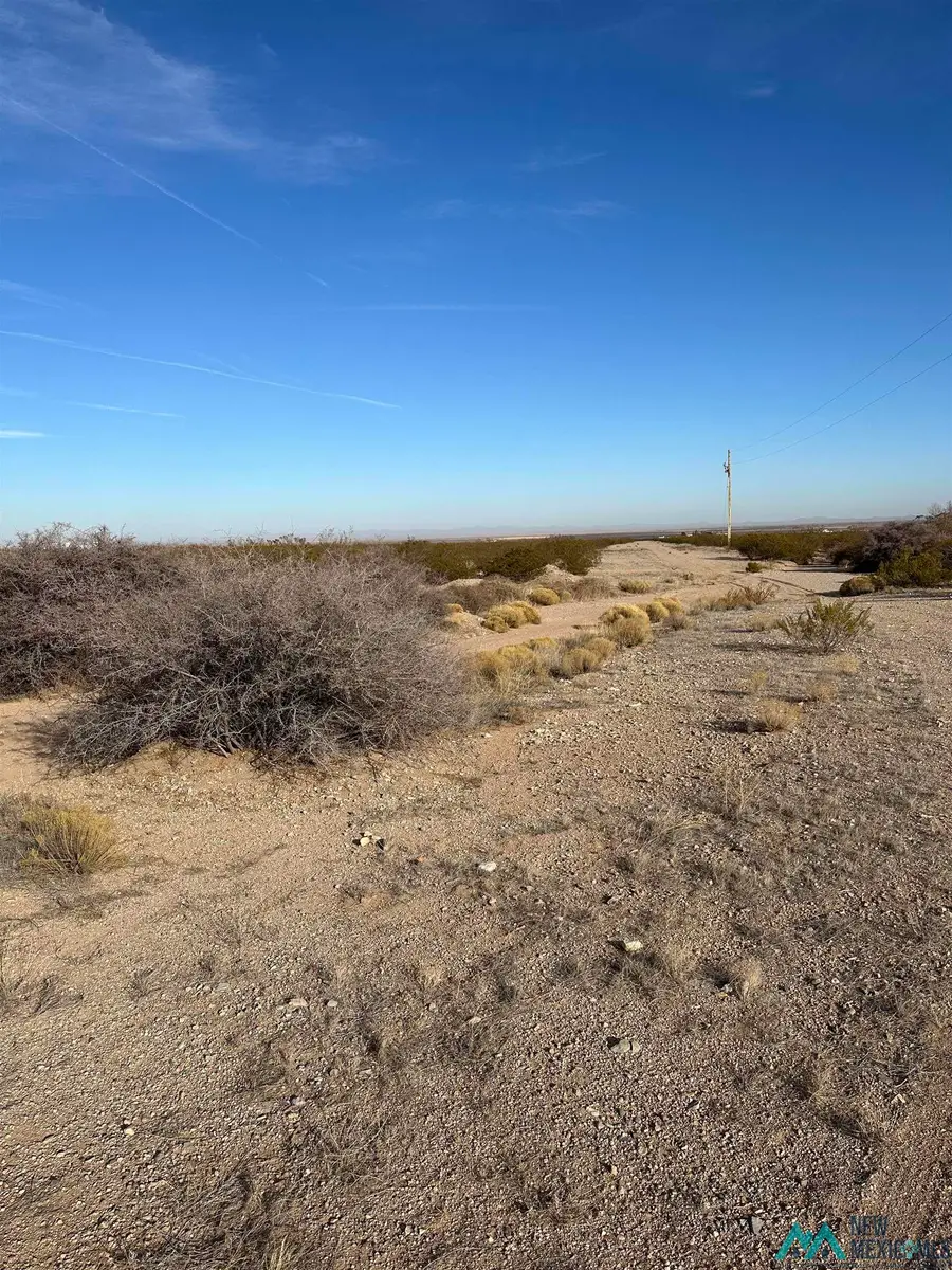 XXXX Coyote Lane Lot 18, Columbus, NM 88029 - #2