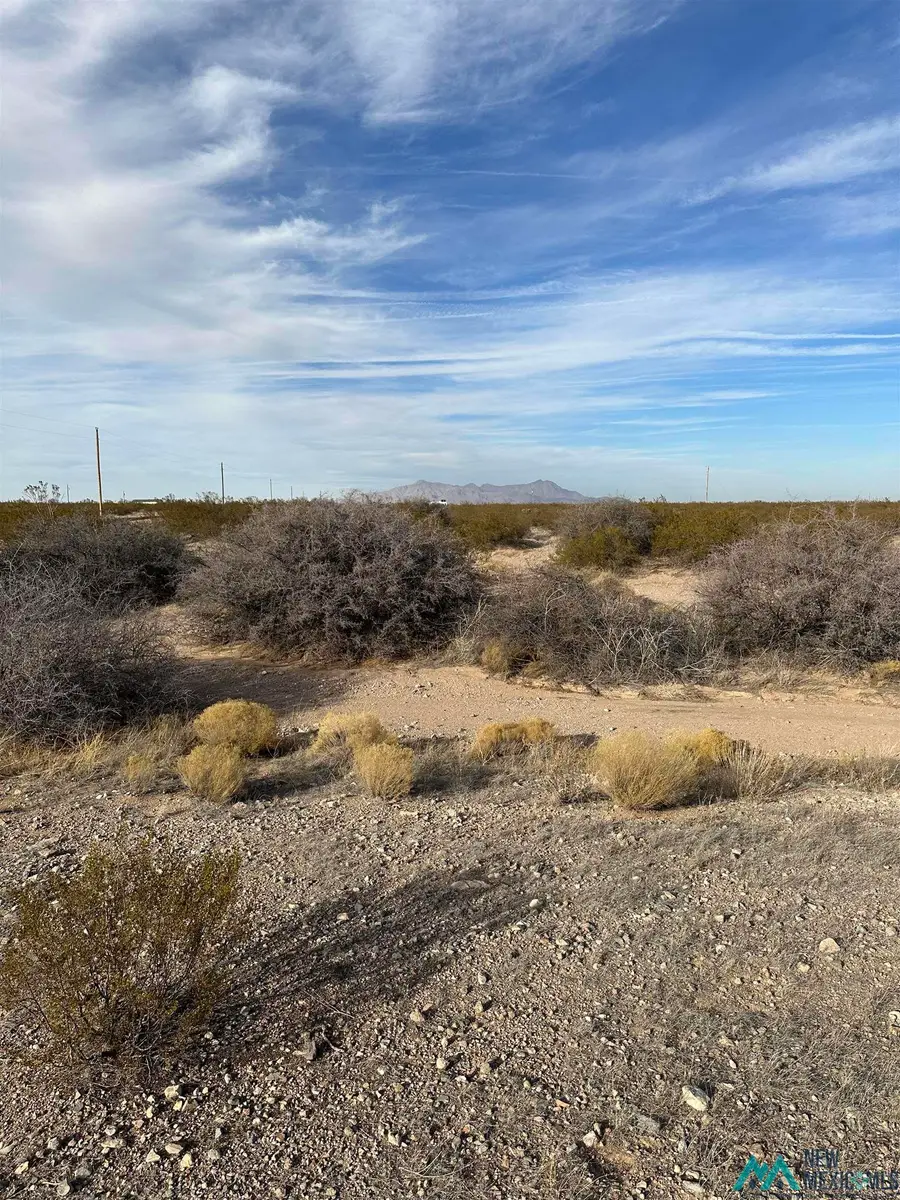 XXXX Coyote Lane Lot 18, Columbus, NM 88029 - #3