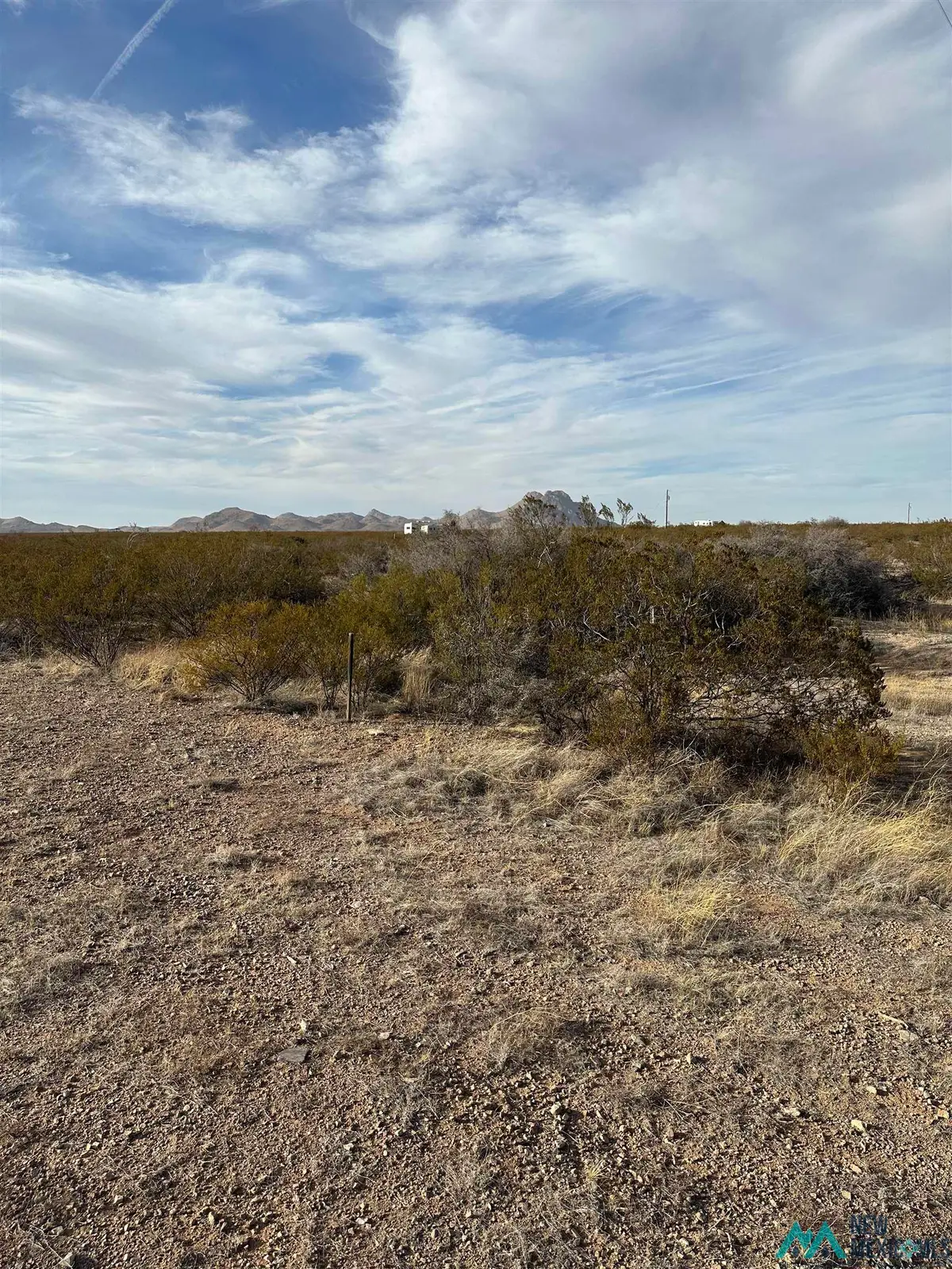 XXXX Coyote Lane Lot 19, Columbus, NM 88029 - #1