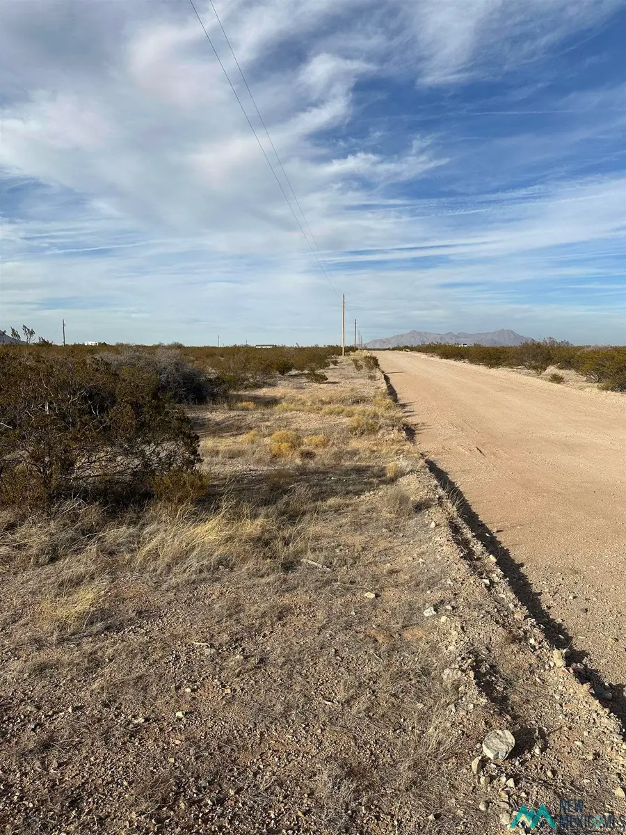 XXXX Coyote Lane Lot 19, Columbus, NM 88029 - #2