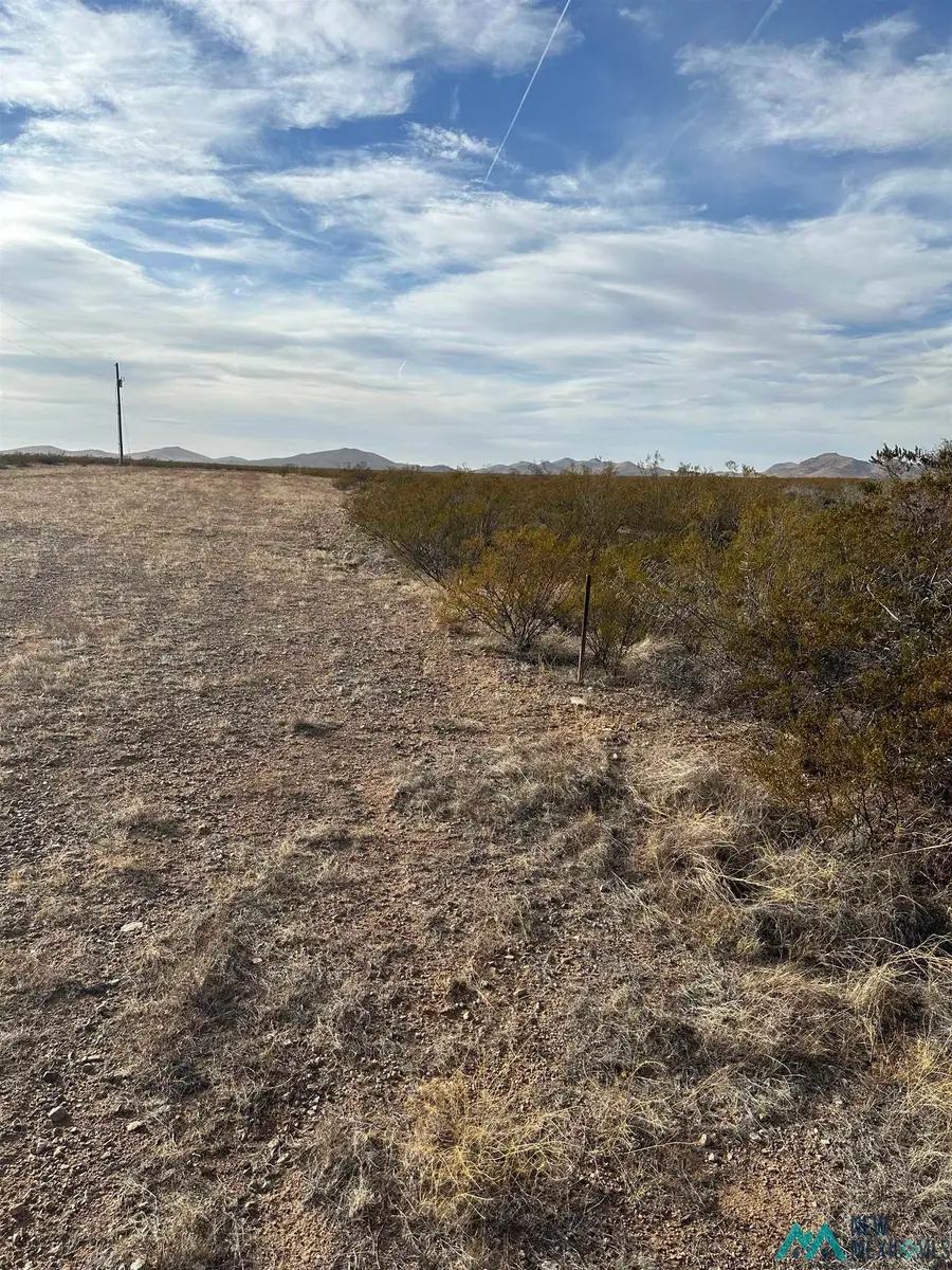 XXXX Coyote Lane Lot 19, Columbus, NM 88029 - #3