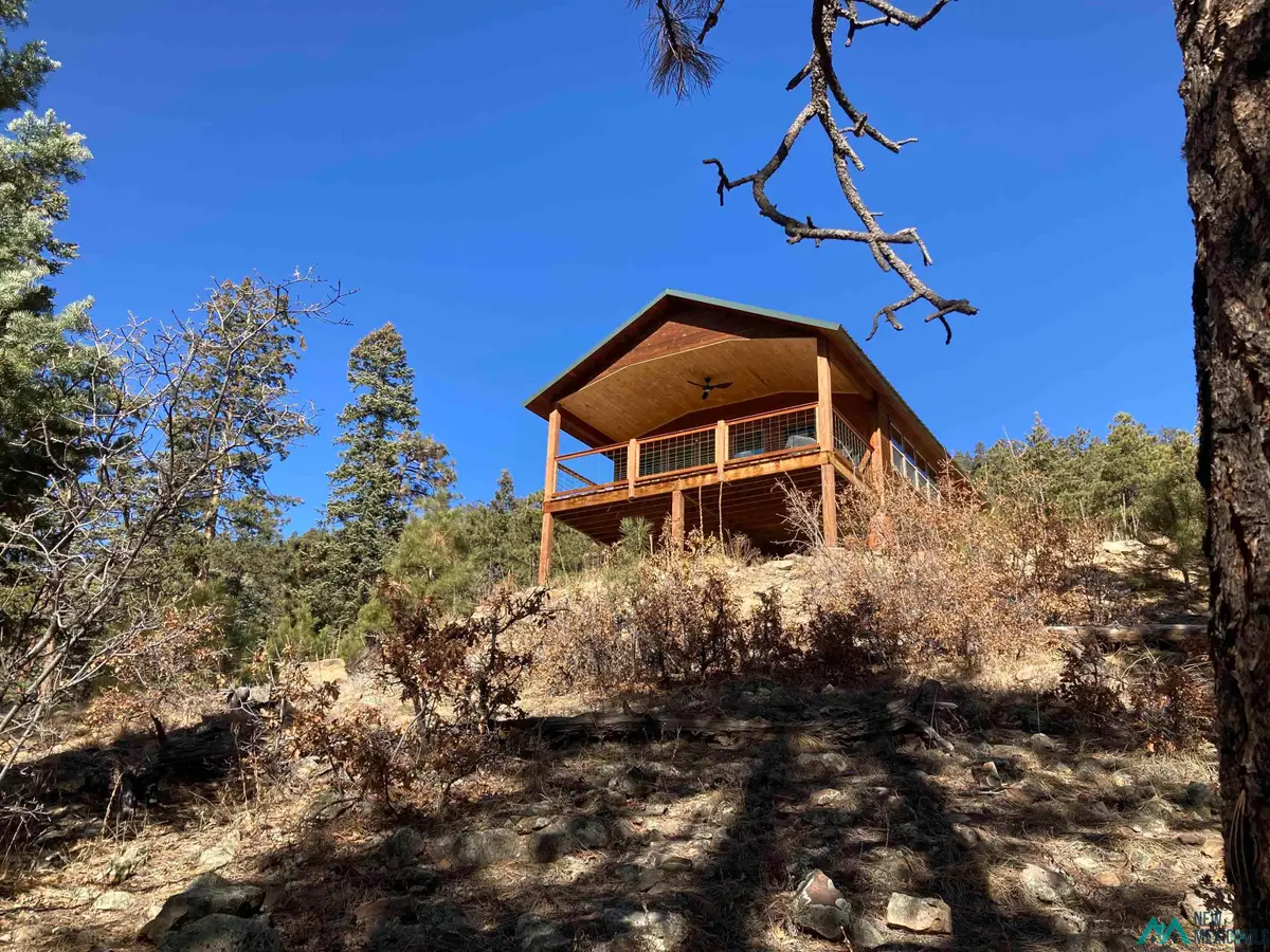 196 Ticonderoga Drive, Chama, NM 87520 - #1