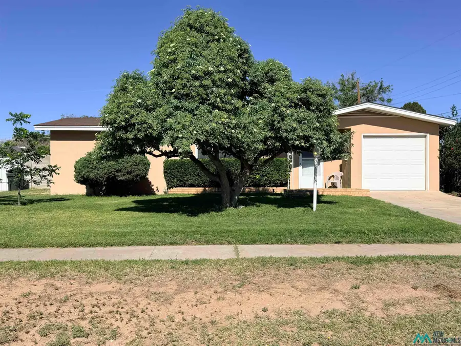 909 Solana Road, Carlsbad, NM 88220 - #3