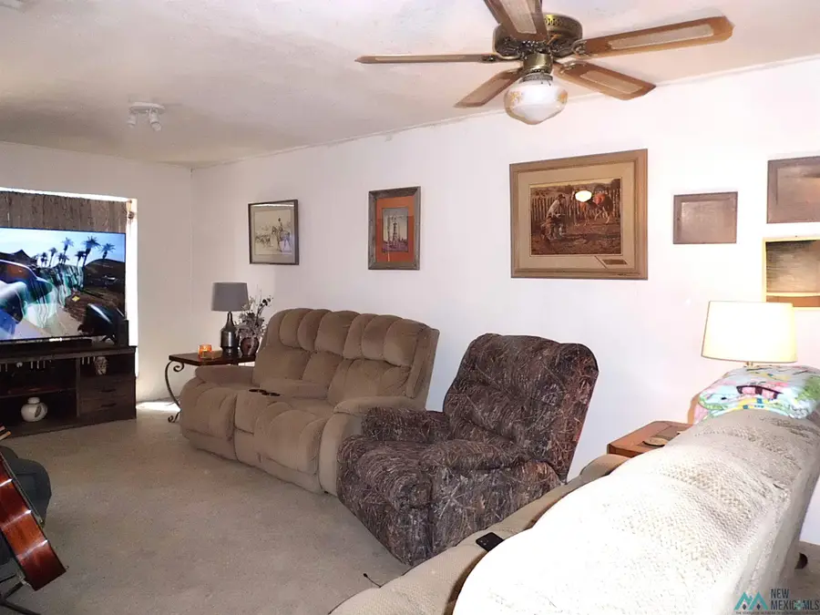169 W Ash Road, Loving, NM 88256 - #3