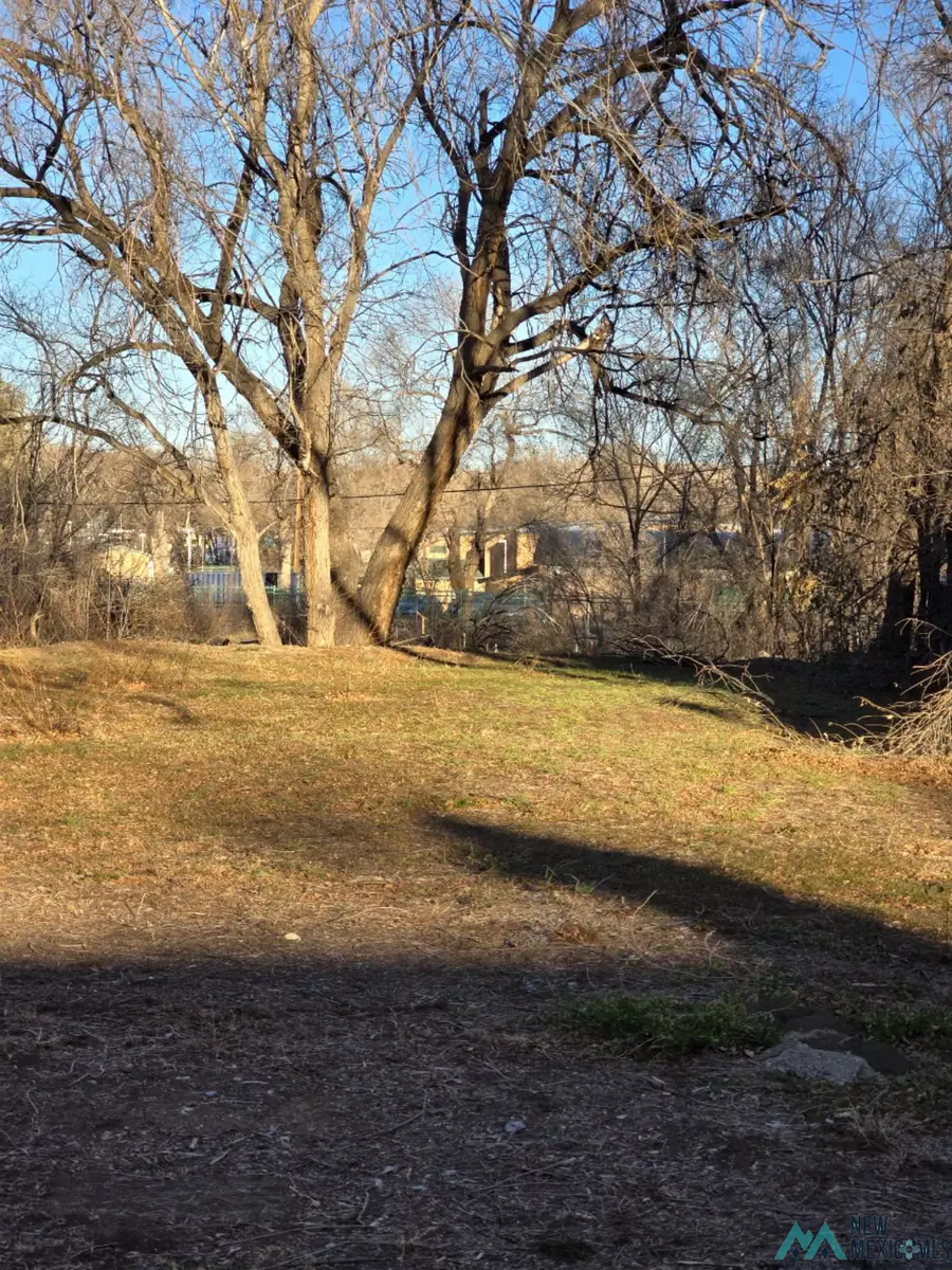 1616 South Pacific Street, Las Vegas, NM 87701 - #2