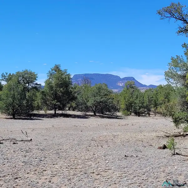Xx (Lot 16) Navajo Way, Datil, NM 5