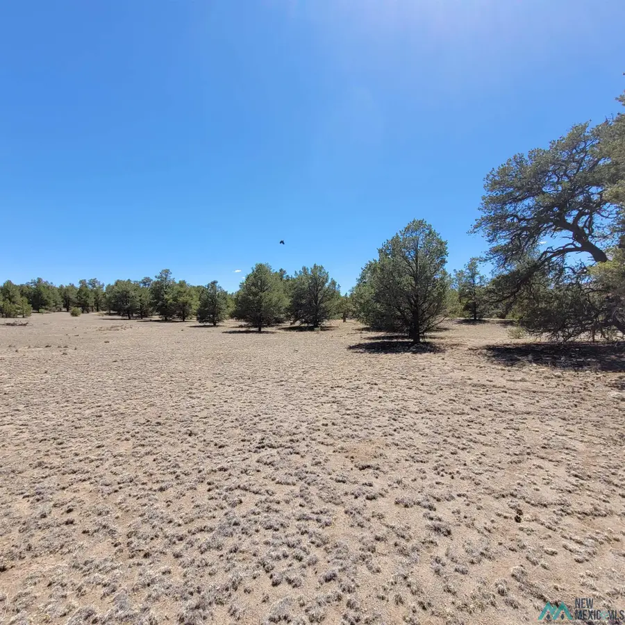 Xx (Lot 16) Navajo Way, Datil, NM 5 - #2
