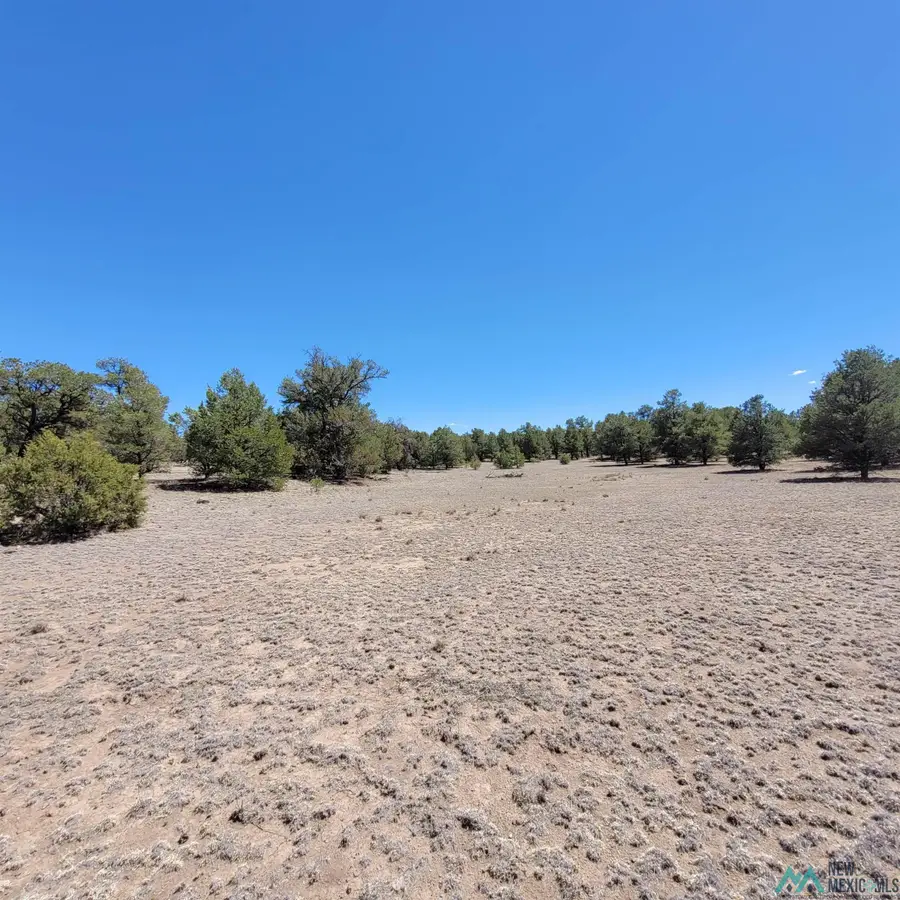 Xx (Lot 16) Navajo Way, Datil, NM 5 - #3