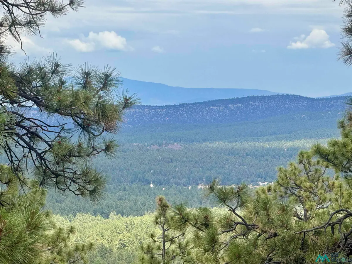 TBD Oso Ridge Lookout Road, Grants, NM 87020 - #1