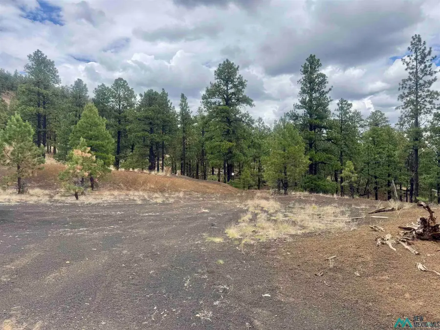 TBD Oso Ridge Lookout Road, Grants, NM 87020 - #2