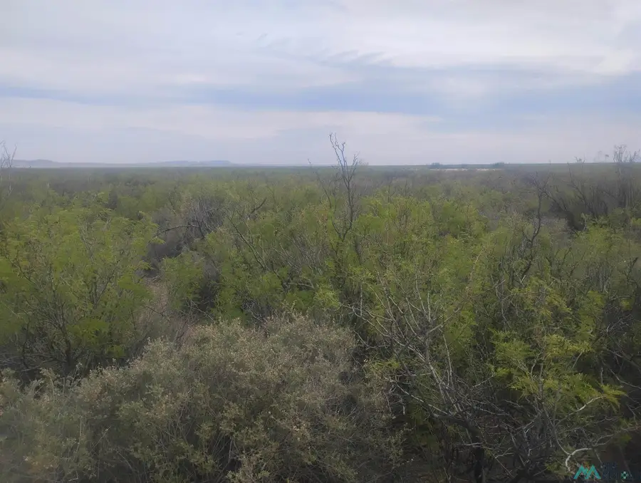 XXXX Capitol Dome Rd Se, Deming, NM 88030 - #2