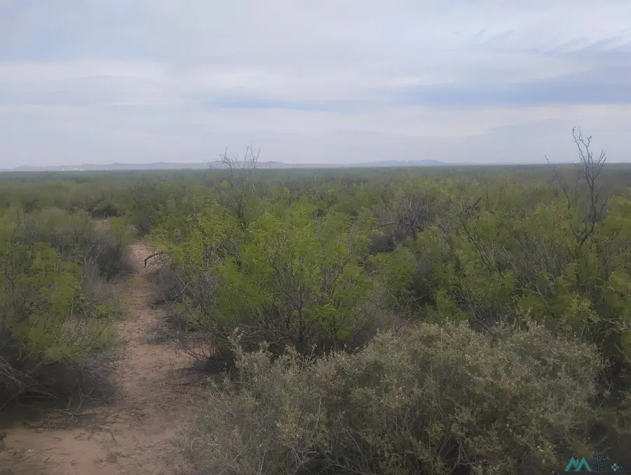 XXXX Capitol Dome Rd Se, Deming, NM 88030 - #3