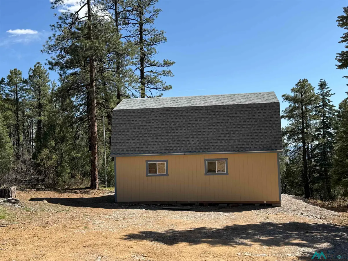 98 Private Drive 1781 Drive, Chama, NM 87520 - #1