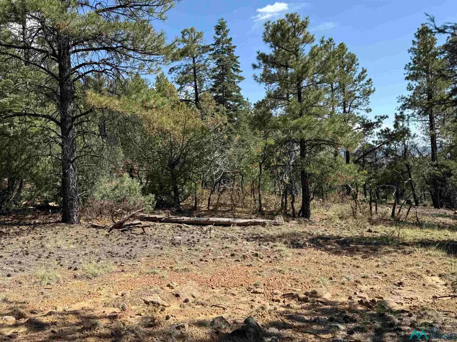 98 Private Drive 1781 Drive, Chama, NM 87520 - #2