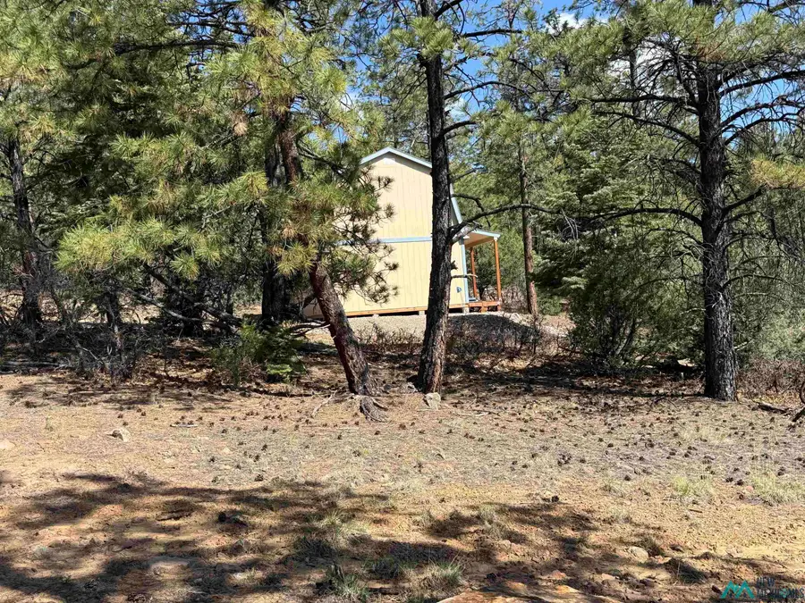 98 Private Drive 1781 Drive, Chama, NM 87520 - #3