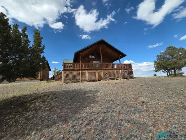 217 Deer Circle, Quemado, NM 87829