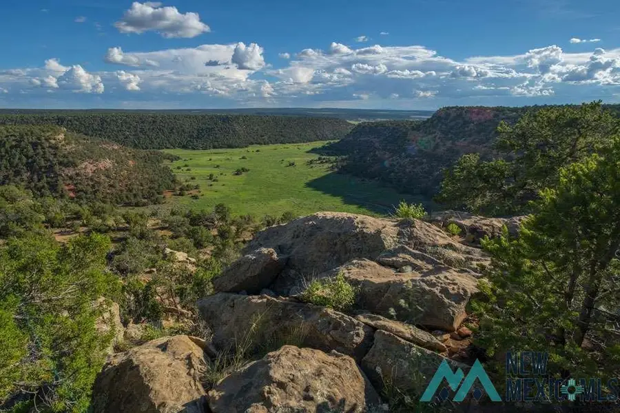 2000 Highway 34, Rowe, NM 87562 - #2