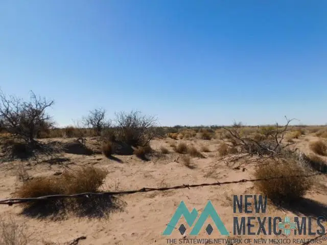Durango Rd Sw, Deming, NM 88030 - #3
