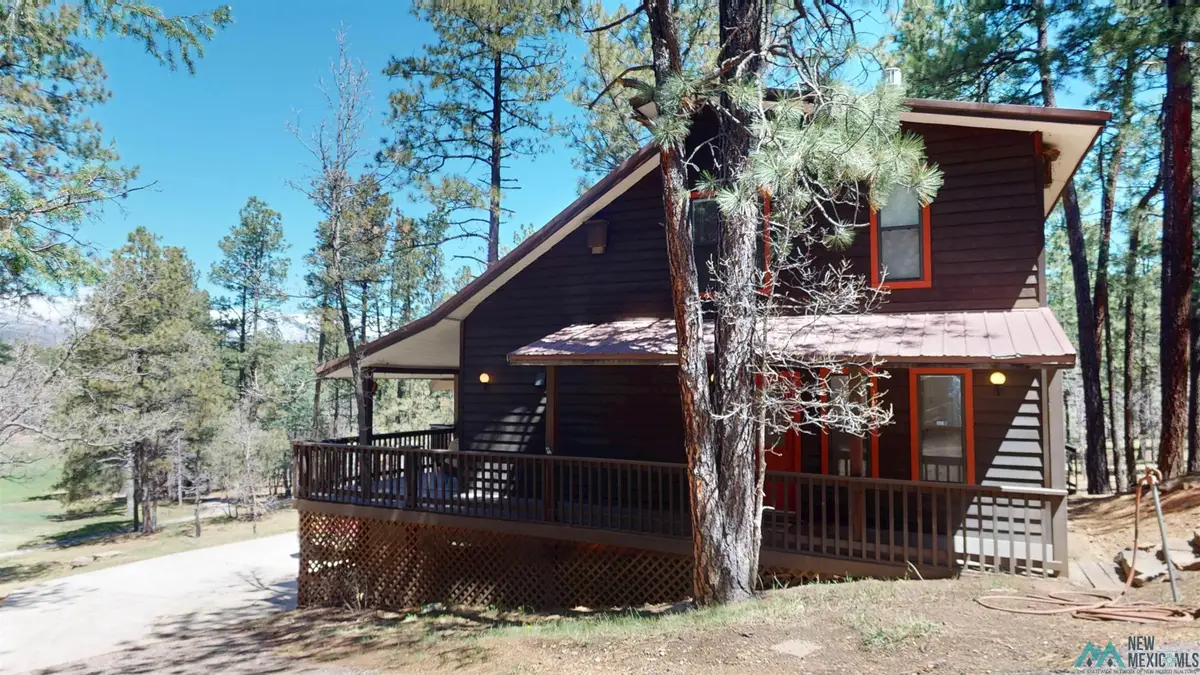 146 Camino Facil Drive, Rociada, NM 87742 - #1