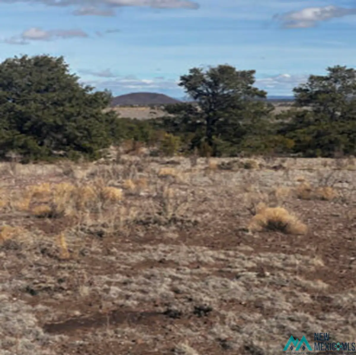 xx Powerline Road, Quemado, NM 87829 - #1
