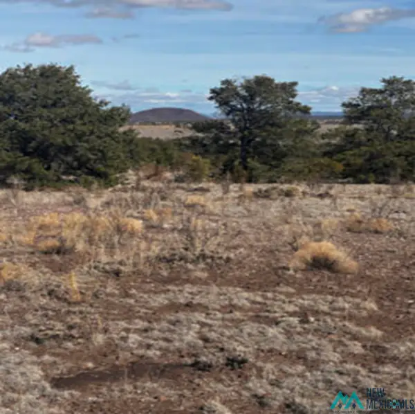 xx Powerline Road, Quemado, NM 87829