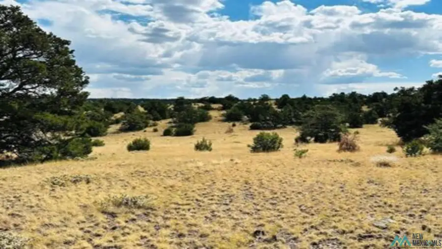 xx Powerline Road, Quemado, NM 87829 - #2