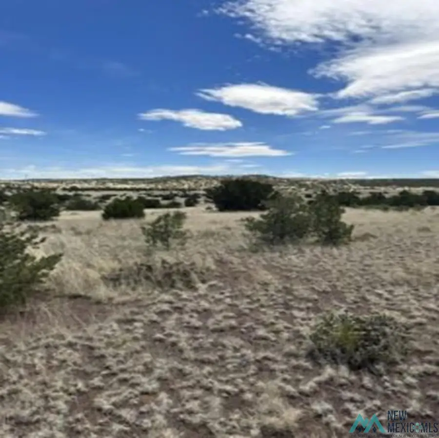 xx Powerline Road, Quemado, NM 87829 - #3