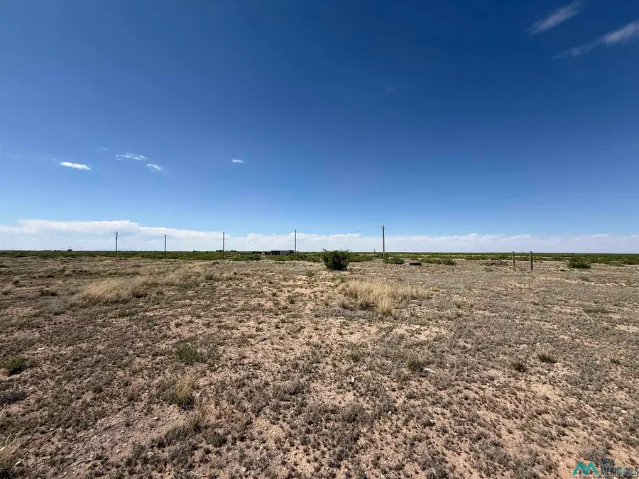 525 Anita Road, Lake Arthur, NM 88253 - #2